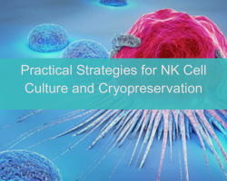 Practical Strategies for NK Cell Culture and Cryopreservation - cover